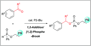 Graphical abstract: Brønsted base-catalyzed 1,2-addition/[1,2]-phospha-Brook rearrangement sequence providing functionalized phosphonates