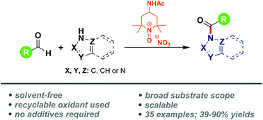 Graphical abstract: Solvent- and additive-free oxidative amidation of aldehydes using a recyclable oxoammonium salt