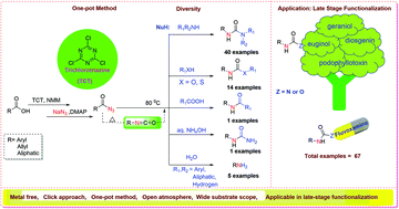 Graphical abstract: TCT-mediated click chemistry for the synthesis of nitrogen-containing functionalities: conversion of carboxylic acids to carbamides, carbamates, carbamothioates, amides and amines