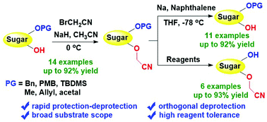 Graphical abstract: Cyanomethyl (CNMe) ether: an orthogonal protecting group for saccharides