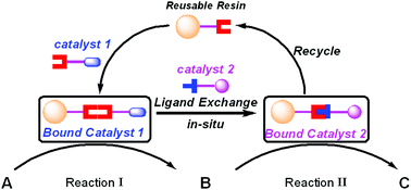 Graphical abstract: Chirality-driven self-assembly: application toward renewable/exchangeable resin-immobilized catalysts