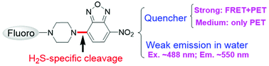 Graphical abstract: An NBD tertiary amine is a fluorescent quencher and/or a weak green-light fluorophore in H2S-specific probes