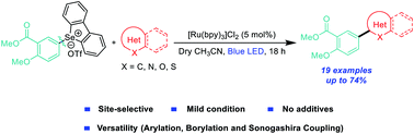 Graphical abstract: Visible-light-catalyzed C–H arylation of (hetero)arenes via arylselenonium salts