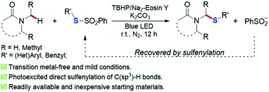 Graphical abstract: Photoexcited sulfenylation of C(sp3)–H bonds in amides using thiosulfonates