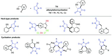 Graphical abstract: Recent advances in transition-metal-catalyzed directed C–H alkenylation with maleimides