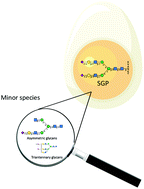 Graphical abstract: Egg yolk sialylglycopeptide: purification, isolation and characterization of N-glycans from minor glycopeptide species