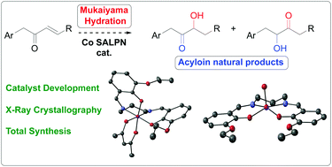 Graphical abstract: Synthesis of acyloin natural products by Mukaiyama hydration