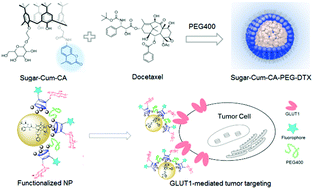 Graphical abstract: Monoglycocalix[4]arene-based nanoparticles for tumor selective drug delivery via GLUT1 recognition of hyperglycolytic cancers