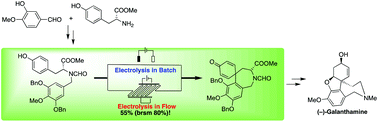 Graphical abstract: Biomimetic total synthesis of (−)-galanthamine via intramolecular anodic aryl–phenol coupling