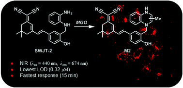 Graphical abstract: Rapid sensing and imaging of methylglyoxal in living cells enabled by a near-infrared fluorescent probe