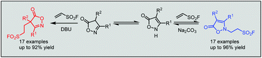 Graphical abstract: Regioselective conjugate addition of isoxazol-5-ones to ethenesulfonyl fluoride