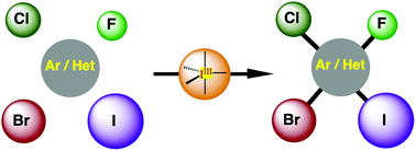 Graphical abstract: Iodine(iii) reagents for oxidative aromatic halogenation