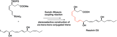 Graphical abstract: Total synthesis of resolvin D3