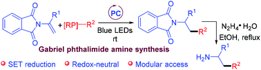 Graphical abstract: Expedient access to N-alkylphthalimides via redox-neutral photocatalysed Giese-type reactions