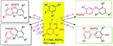 Graphical abstract: Diverse and chemoselective sigmatropic shift rearrangements of multisubstituted N,O-diarylhydroxylamines