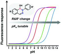 Graphical abstract: Investigation of a benzodiazaborine library to identify new pH-responsive fluorophores