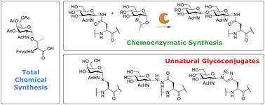 Graphical abstract: Synthesis of glycopeptides and glycopeptide conjugates