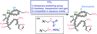 Graphical abstract: Carbon dioxide enhances sulphur-selective conjugate addition reactions