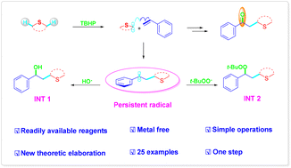 Graphical abstract: The C(sp3)–H bond functionalization of thioethers with styrenes with insight into the mechanism