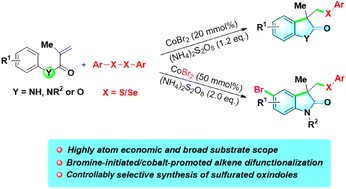 Graphical abstract: Cobalt-promoted synthesis of sulfurated oxindoles via radical annulation of N-arylacrylamides with disulfides