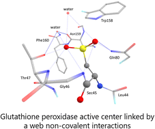 Graphical abstract: Non-covalent interactions in the glutathione peroxidase active center and their influence on the enzyme activity