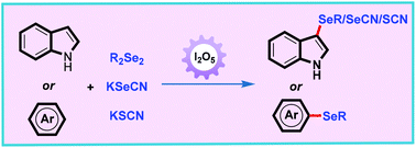 Graphical abstract: Iodine pentoxide-mediated oxidative selenation and seleno/thiocyanation of electron-rich arenes