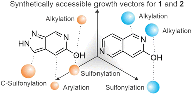 Graphical abstract: Growth vector elaboration of fragments: regioselective functionalization of 5-hydroxy-6-azaindazole and 3-hydroxy-2,6-naphthyridine