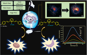 Graphical abstract: Lutidine derivatives for live-cell imaging of the mitochondria and endoplasmic reticulum