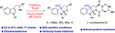 Graphical abstract: Single-step construction of an acetoxypyrroloindole skeleton via tandem iodocyclization/acetoxylation of indoles