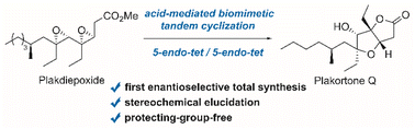 Graphical abstract: Biomimetic total synthesis of plakortone Q via acid-mediated tandem cyclization
