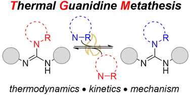 Graphical abstract: Thermodynamic, kinetic, and mechanistic studies of the thermal guanidine metathesis reaction