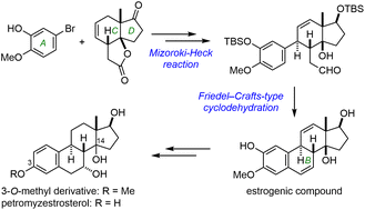 Graphical abstract: Structural verification of petromyzestrosterol by total syntheses of both C14-epimers of its 3-O-methyl derivative