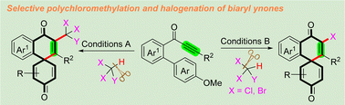 Graphical abstract: Synthesis of polychloromethylated and halogenated spiro[5,5]trienones via dearomative spirocyclization of biaryl ynones