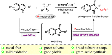 Graphical abstract: Dearomative oxyphosphorylation of indoles enables facile access to 2,2-disubstituted indolin-3-ones