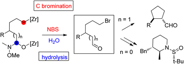 Graphical abstract: Access to 5-bromopentanal and 6-bromohexanal derivatives via the bromination/hydrolysis of C,O-bis-zirconocenes generated from unsaturated Weinreb amides