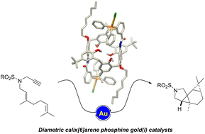 Graphical abstract: Diametric calix[6]arene gold(i) catalysts for intramolecular cyclopropanations of 1,6-dienynes