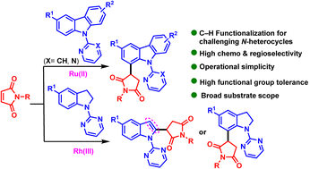 Graphical abstract: Transition metal-catalyzed regioselective functionalization of carbazoles and indolines with maleimides