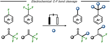 Graphical abstract: Electrosynthetic C–F bond cleavage