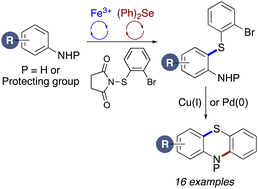 Graphical abstract: Thioarylation of anilines using dual catalysis: two-step synthesis of phenothiazines