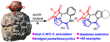 Graphical abstract: Synthesis of bridgehead-azacycles via dual C–N/C–C annulation of α-amino acids, aminals and maleimides