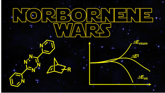 Graphical abstract: Computational insights into the inverse electron-demand Diels–Alder reaction of norbornenes with 1,2,4,5-tetrazines: norbornene substituents’ effects on the reaction rate