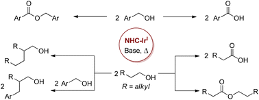 Graphical abstract: Tuning the selectivity in iridium-catalyzed acceptorless dehydrogenative coupling of primary alcohols