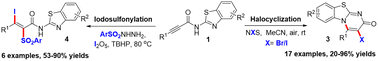 Graphical abstract: Selective halocyclization and iodosulfonylation of N-benzothiazol-2-yl alkynamides under mild conditions