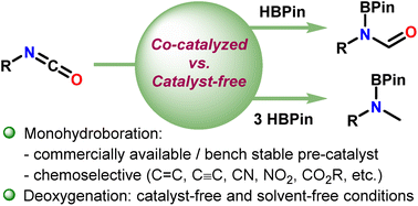Graphical abstract: Hydroboration of isocyanates: cobalt-catalyzed vs. catalyst-free approaches