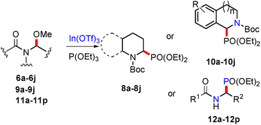 Graphical abstract: In(OTf)3-catalyzed N-α phosphonylation of N,O-acetals with triethyl phosphite