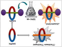 Graphical abstract: Development of fluorophoric [2]pseudorotaxanes and [2]rotaxane: selective sensing of Zn(ii)