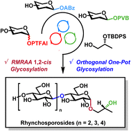 Graphical abstract: The total synthesis of rhynchosporosides via orthogonal one-pot glycosylation and stereoselective α-glycosylation strategies