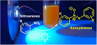 Graphical abstract: Direct photochemical route to azoxybenzenes via nitroarene homocoupling