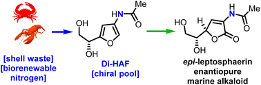 Graphical abstract: Haber-independent, asymmetric synthesis of the marine alkaloid epi-leptosphaerin from a chitin-derived chiral pool synthon