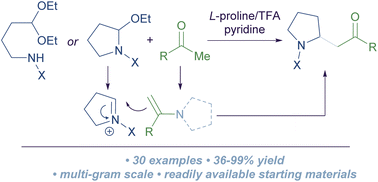 Graphical abstract: Enamine-mediated Mannich reaction of cyclic N,O-acetals and amido acetals: the multigram synthesis of pyrrolidine alkaloid precursors